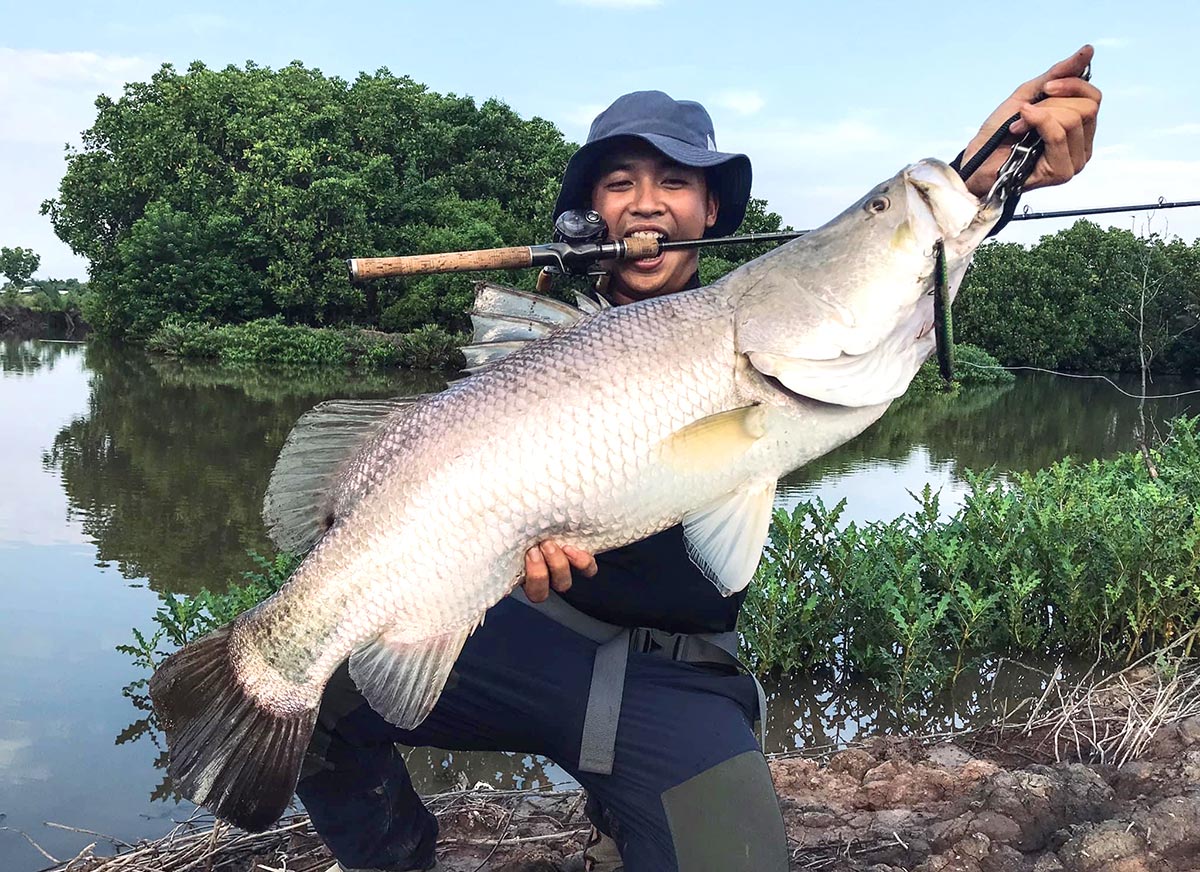 BARRAMUNDI LURE + GIANT FRESH WATER FISHING TOUR - VietNam Fishing Tours