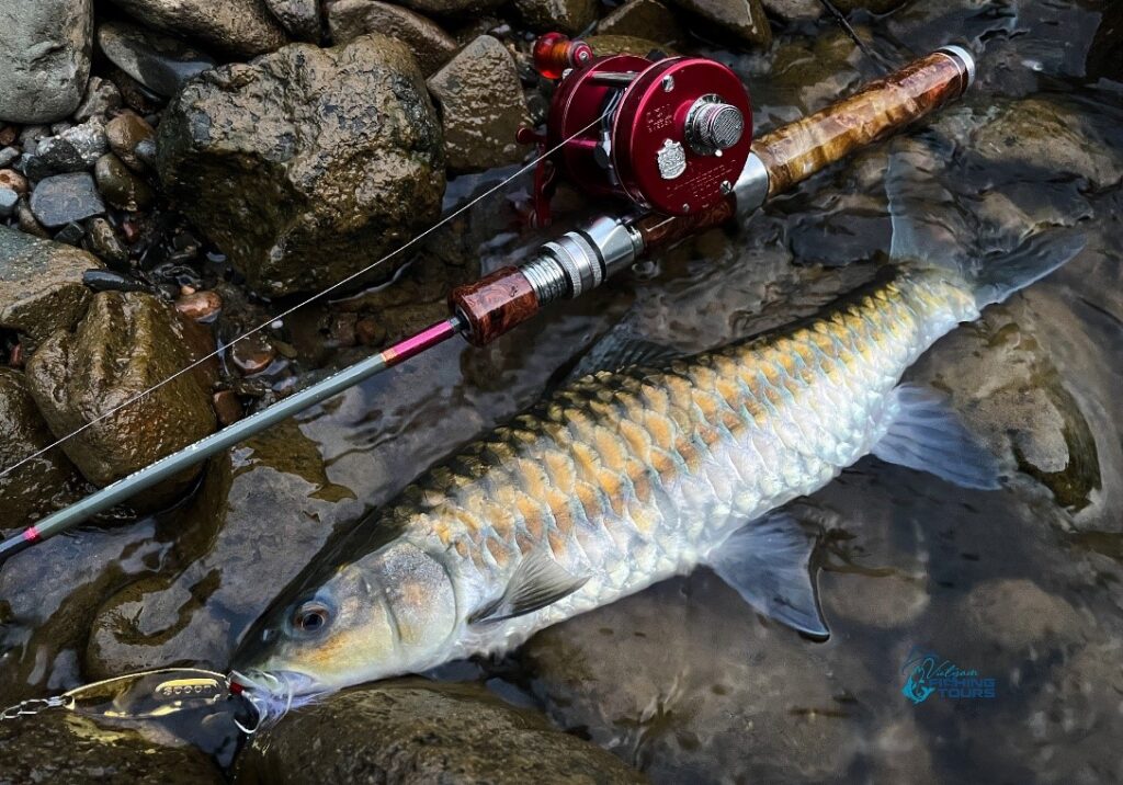 The-Forest-Hunting-For-Mahseer-A-Fabled-Fish-viet-nam-fishing-tours-vn-2