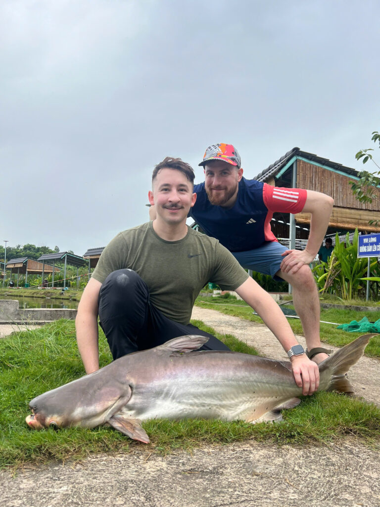 Giant Mekong Catfish