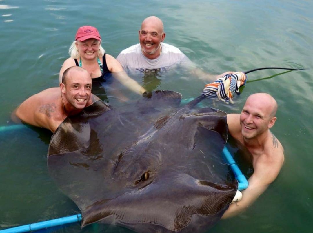 Mekong-freshwater-stingrays-vietnam-fishing-tours