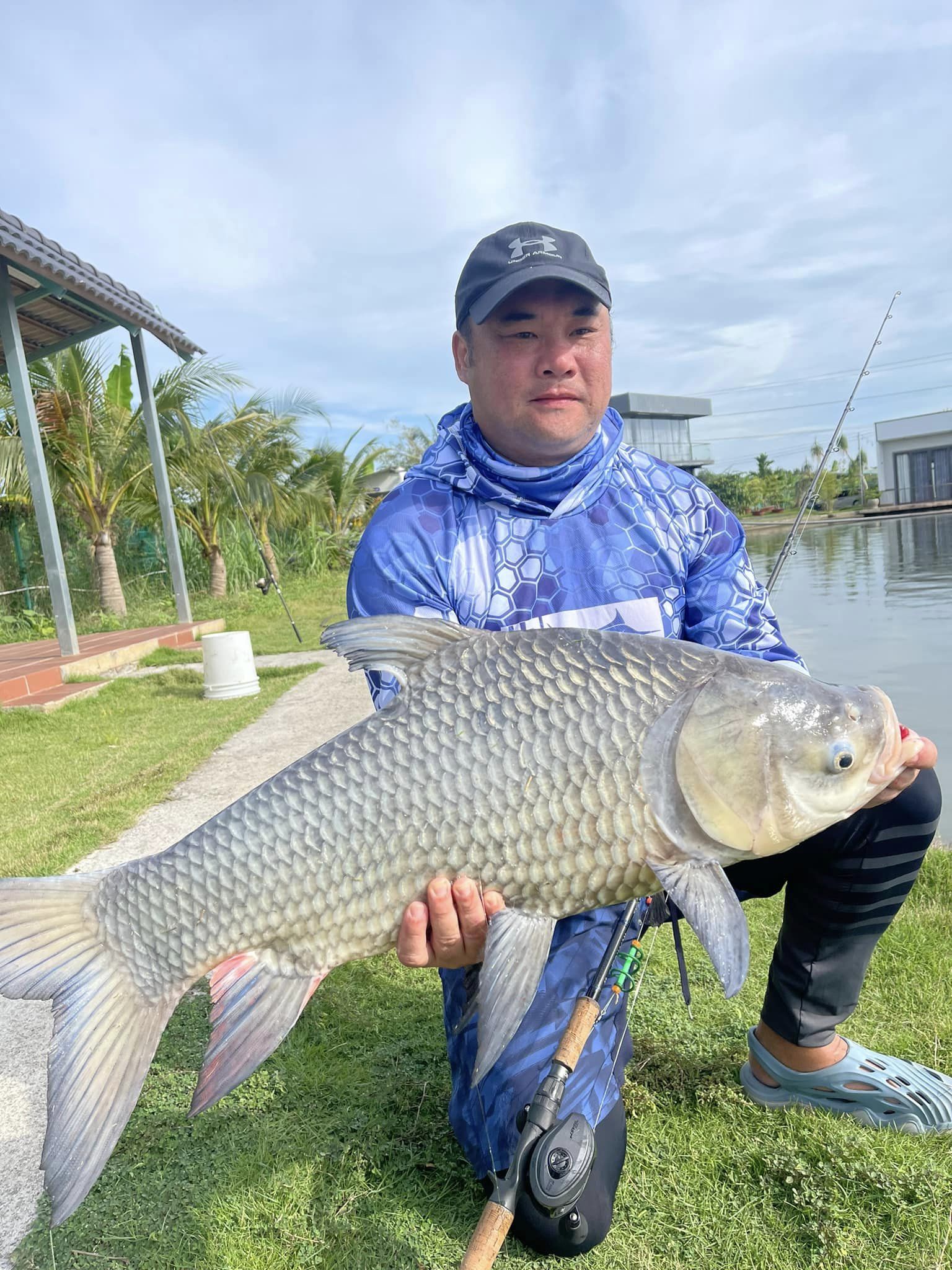 Siamese Carp