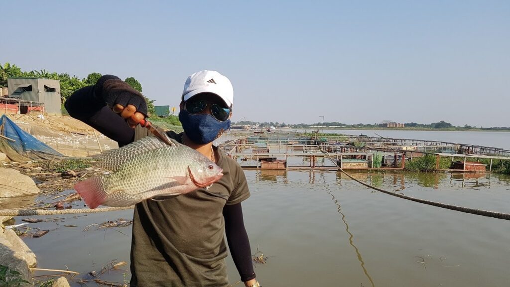 cau-ca-o-song-duong-ha-noi-vietnam-fishing-tour-vn