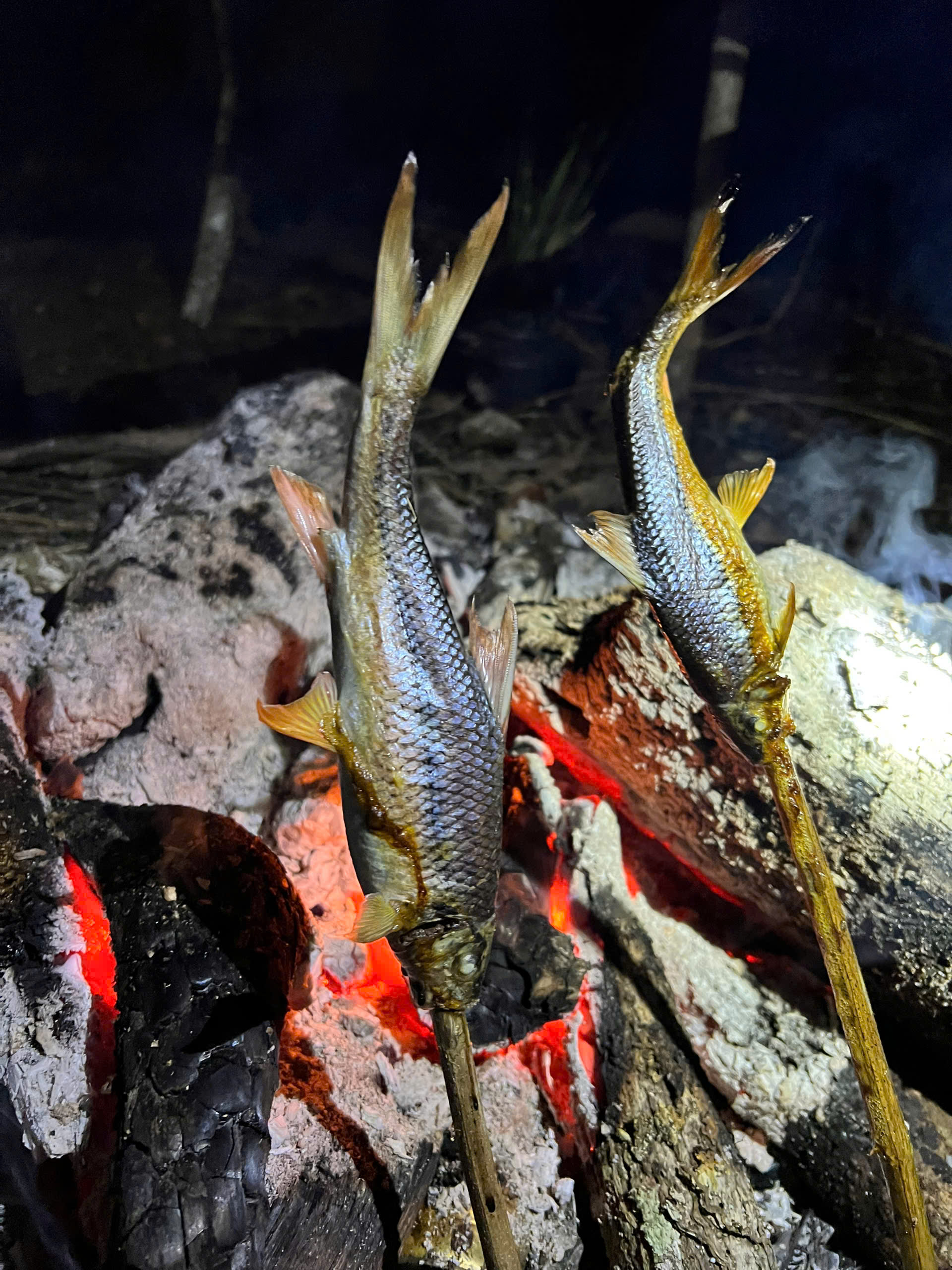 Enjoy grilled fish amidst the natural beauty of the wild forest.