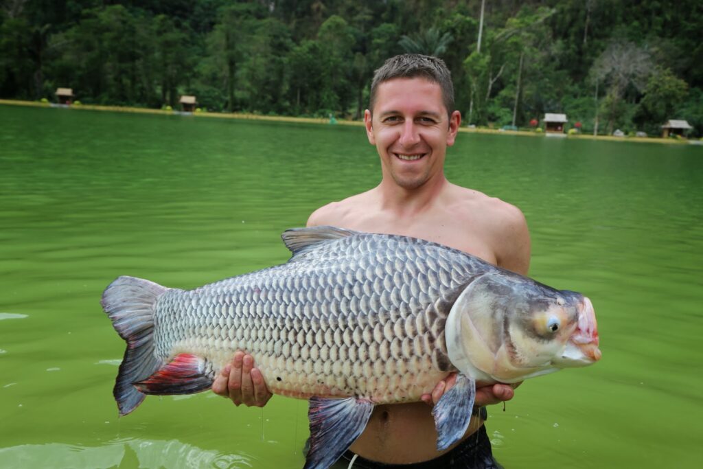 Giant-Mekong-Barb-viet-nam-fishing-tours-trips