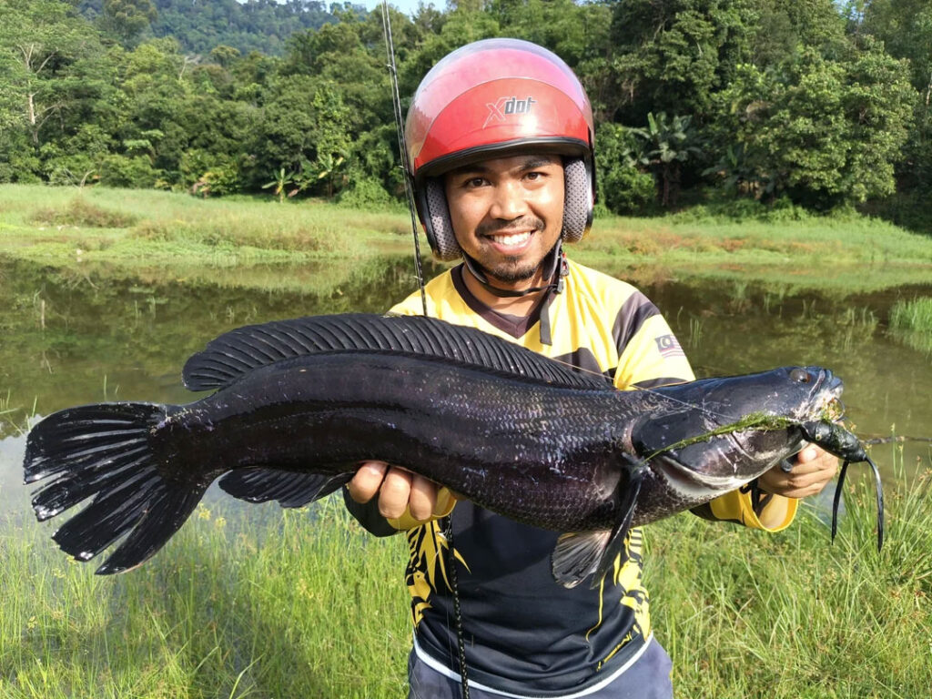 bien-binh-dai-ben-tre-viet-nam-fishing-tours-trips-mekong-delta-rivers-giant-snakehead