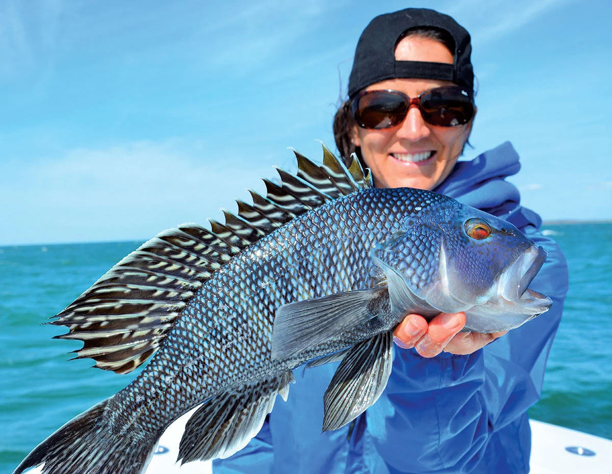 Sea Bass