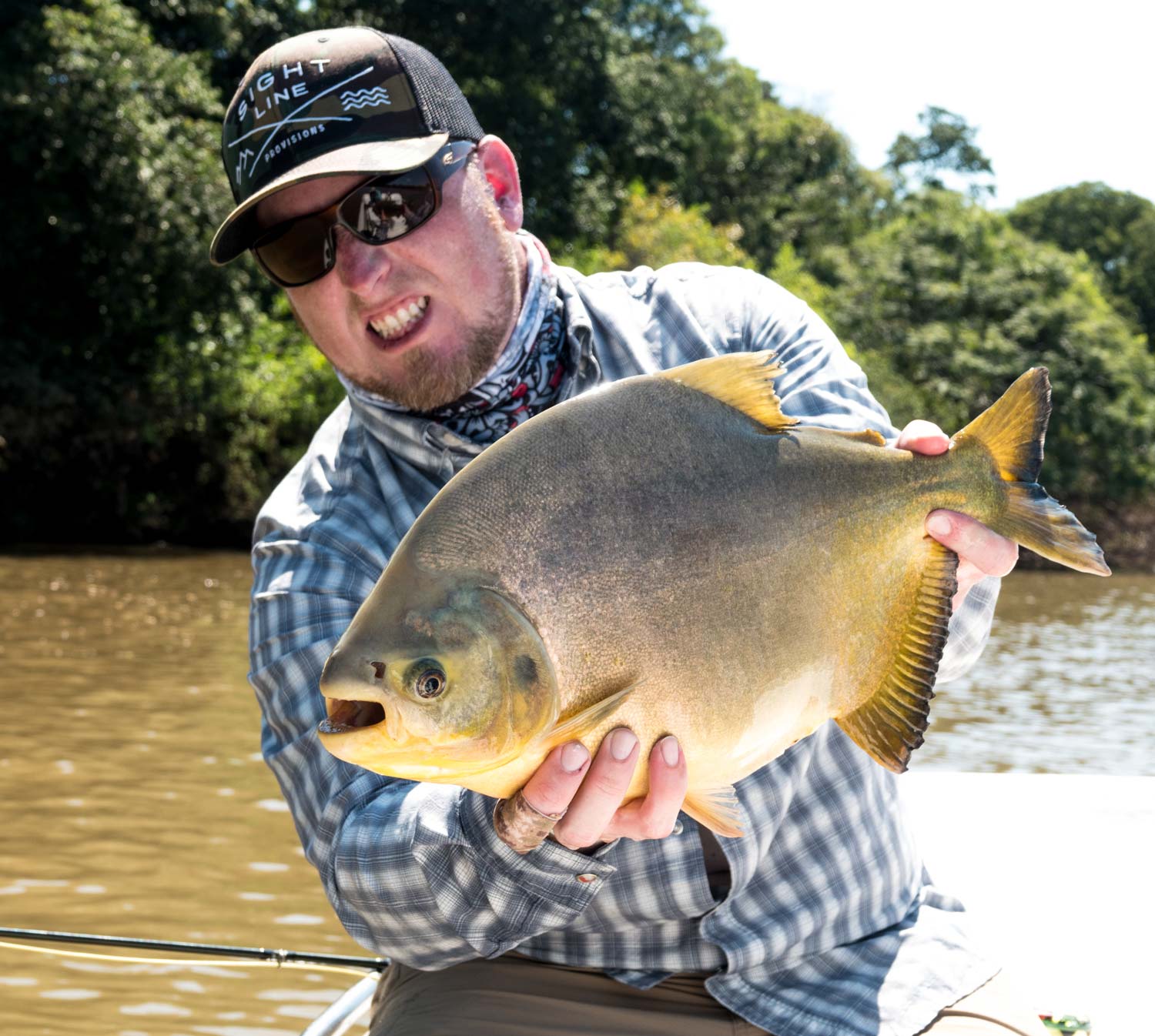 Pacu