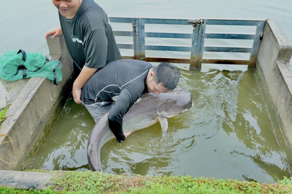 vung-tau-fishing-tours-viet-nam-22