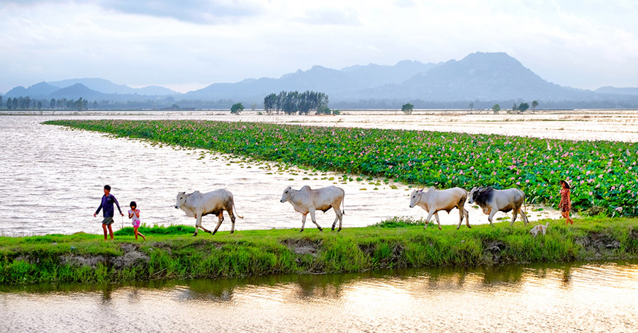 an-giang-travel-me-kong-denta-river-viet-nam-fishing-tours-123