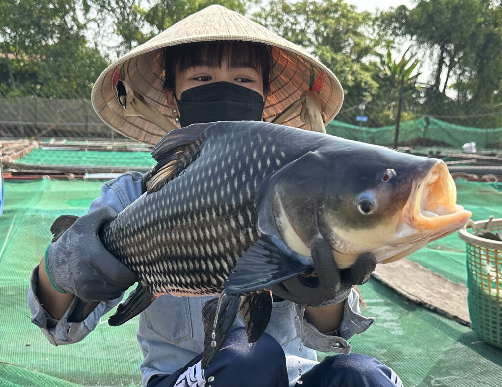 vinh-long-fishing-tour-viet-nam-mekong-river-trip-travel-2