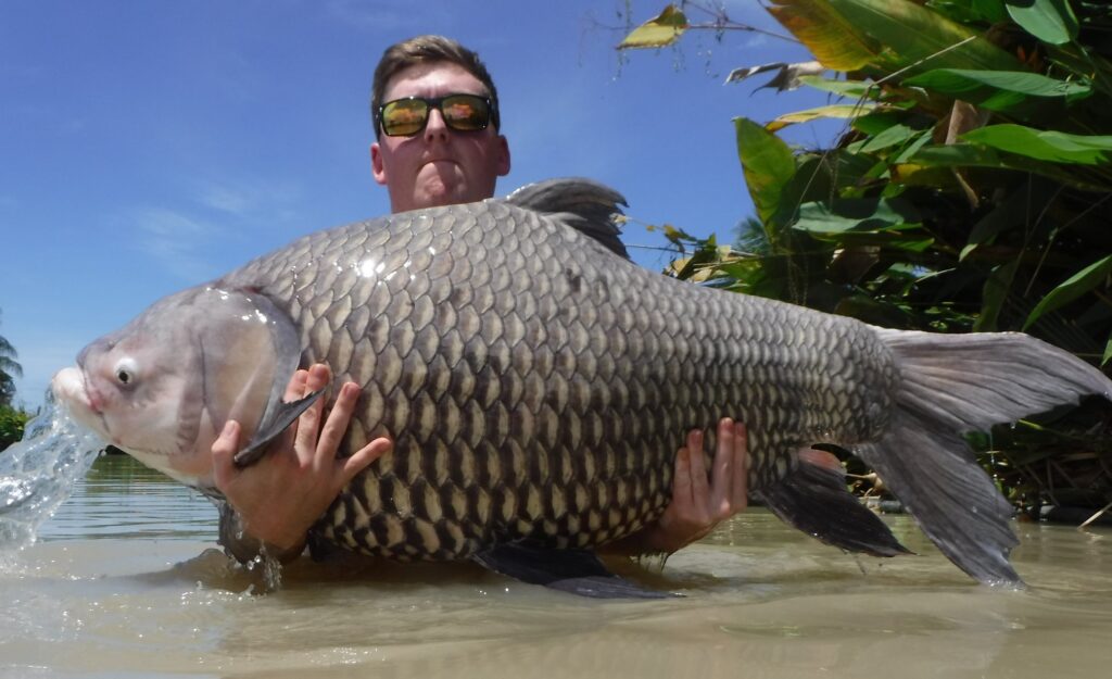 Fishing-Holidays-In-Thailand-Siamese-Carp-mekong-river-viet-nam-fishing-tour-trip