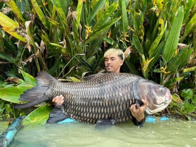 Fishing-Holidays-In-Thailand-Siamese-Carp-mekong-river-viet-nam-fishing-tour-trip-2