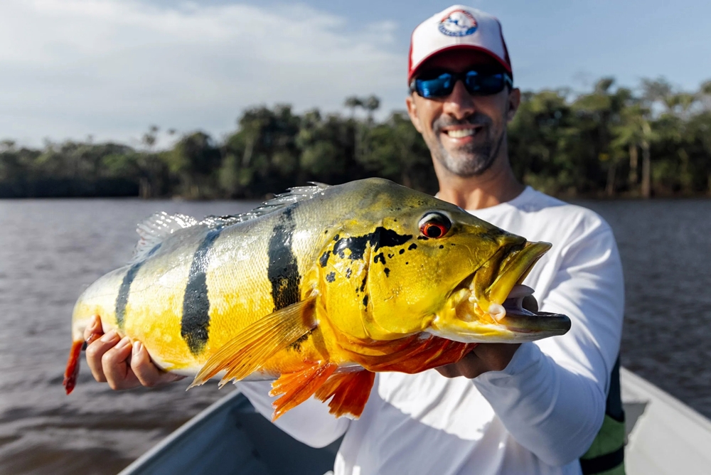 viet-nam-fishing-tour-north-viet-nam-ha-noi-trip-Peacock-bass-fishing
