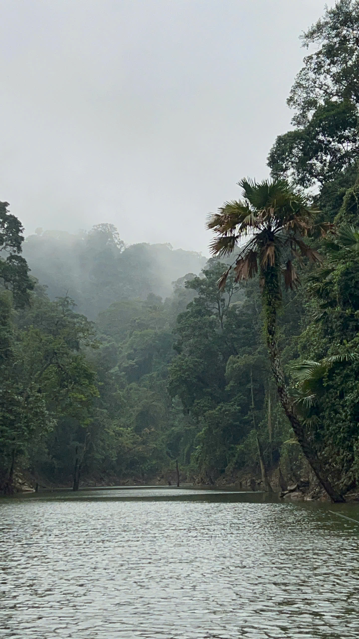 The Mahseer Quest