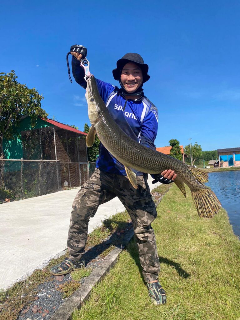 Alligator Gar (Atractosteus spatula)-viet-nam-fishing-tour-trips-ba-ria-vung-tau-tphcm-bull-arena-fishing-park-156t66