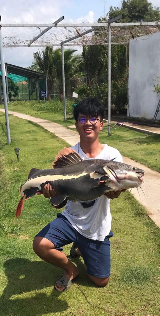 Amazon Redtail Catfish-viet-nam-fishing-tours-trips