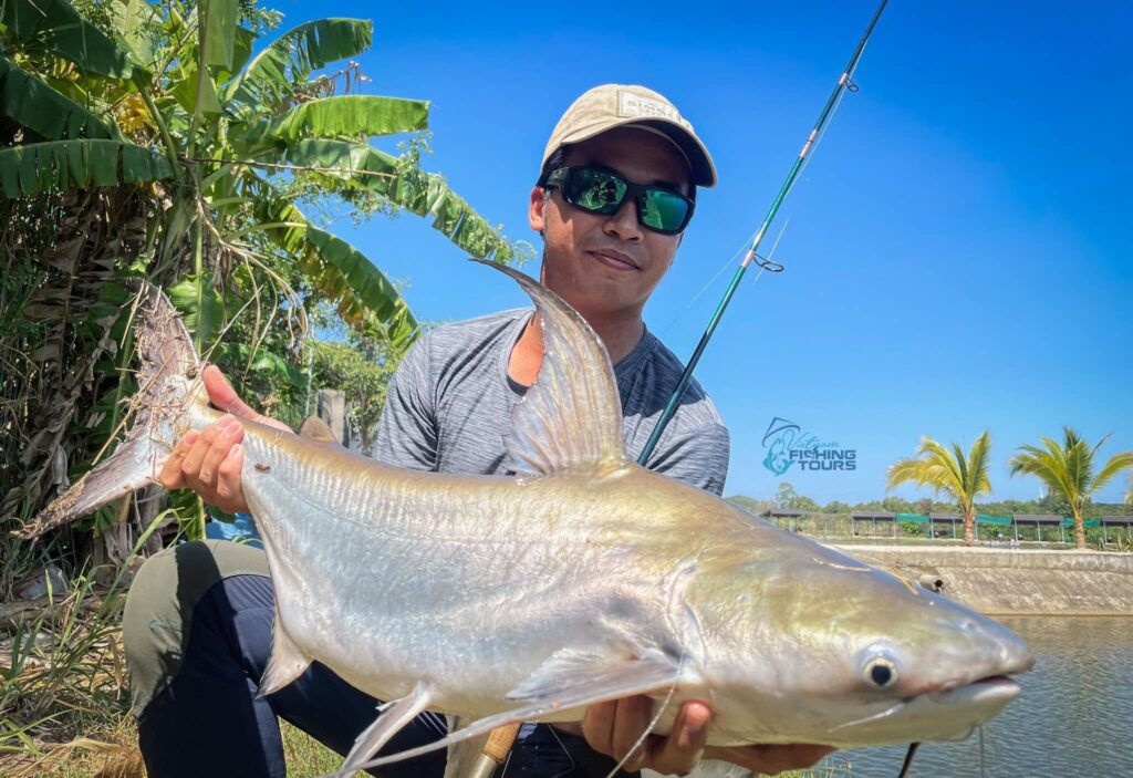 Chao Phraya Catfish-bull-arena-fishing-park-viet-nam-fishing-tours-trips