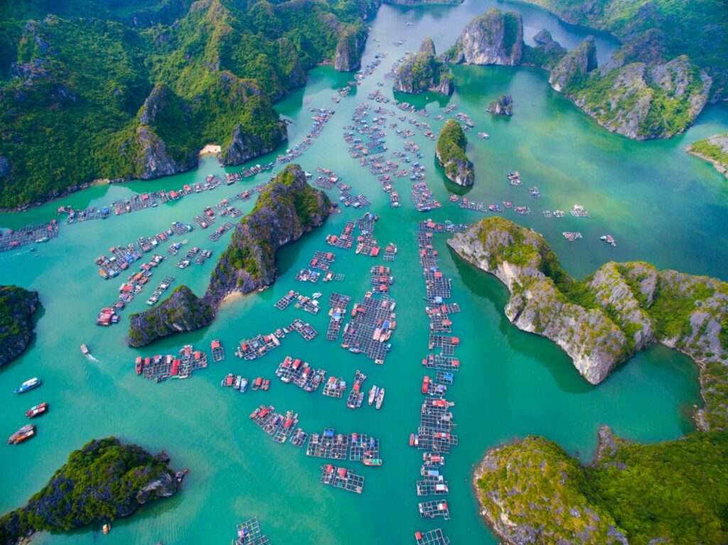 Ha Long Bay's Ancient Fishing Villages