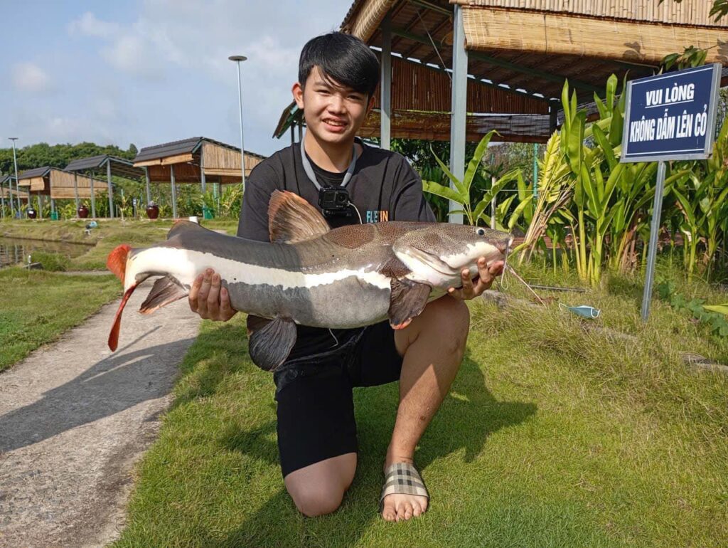 The Amazon Redtail Catfish (Phractocephalus hemioliopterus)-viet-nam-fishing-tour-trips-ba-ria-vung-tau-tphcm-bull-arena-fishing-park-156t66