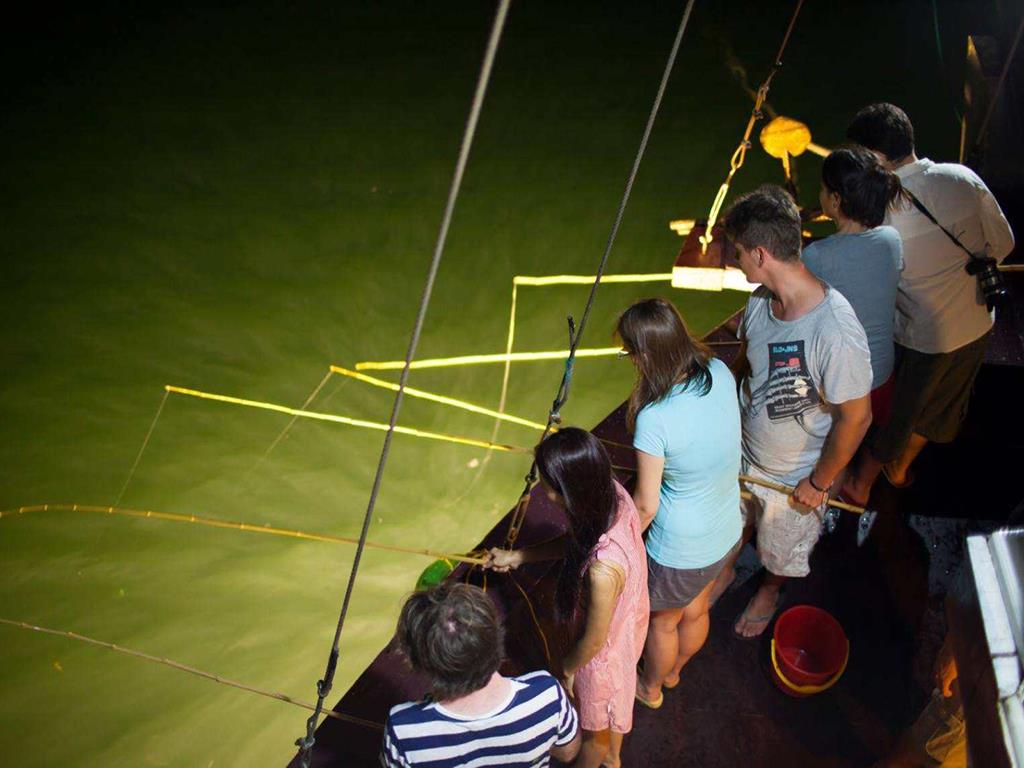 ha-long-bay-viet-nam-fishing-tours