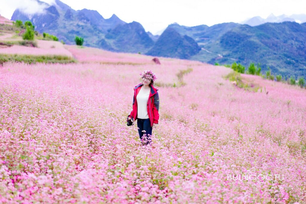 tam giac mach Ha Giang