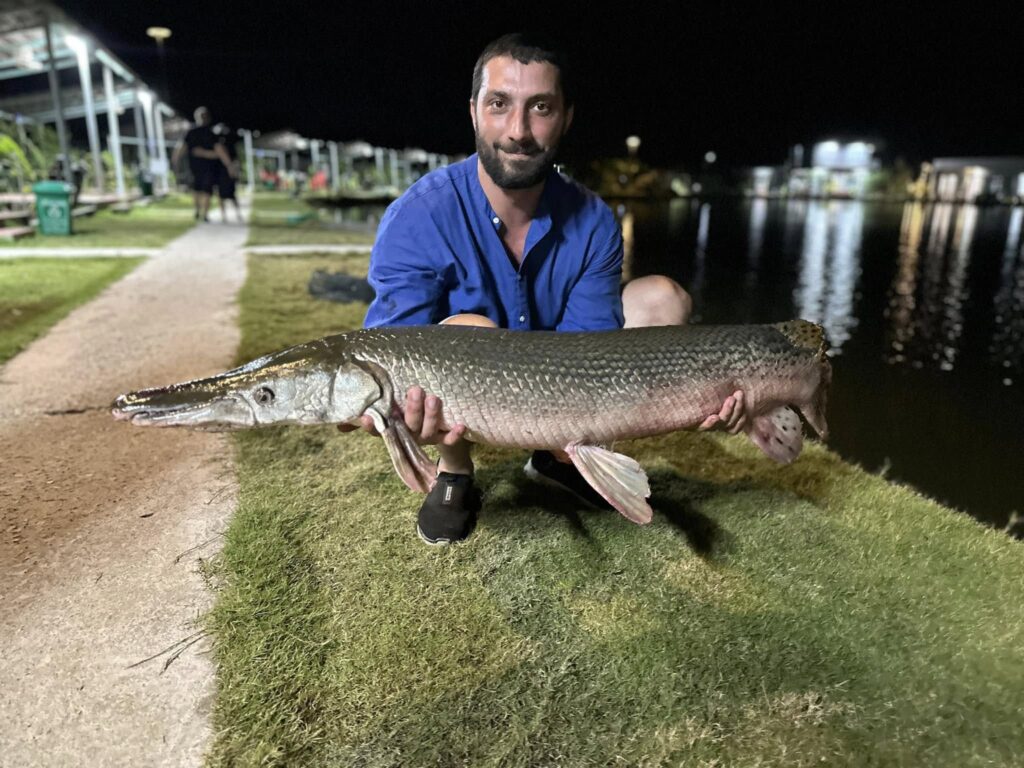 Alligator Gar