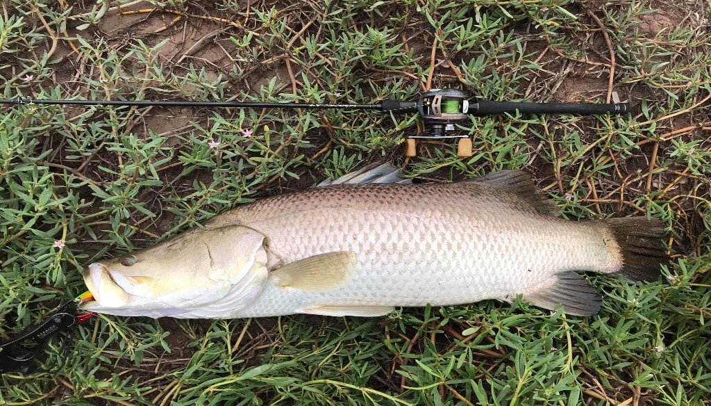 BARRAMUNDI-ADVENTURE-FISHING-TOUR-2