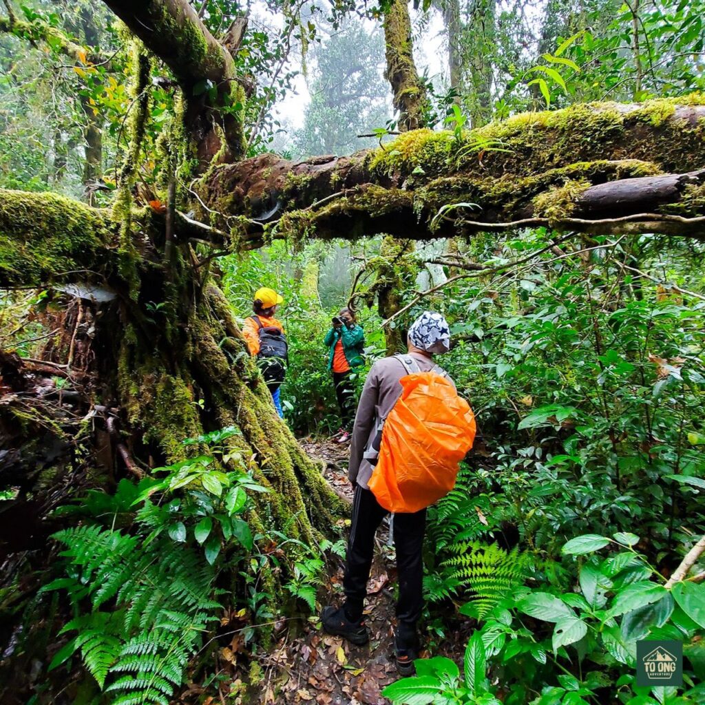 Bidoup-National-Park-mahseer-viet-nam-fishing-tour-trip-catching-2