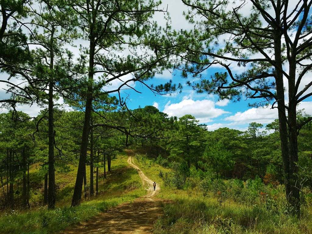 Bidoup National Park