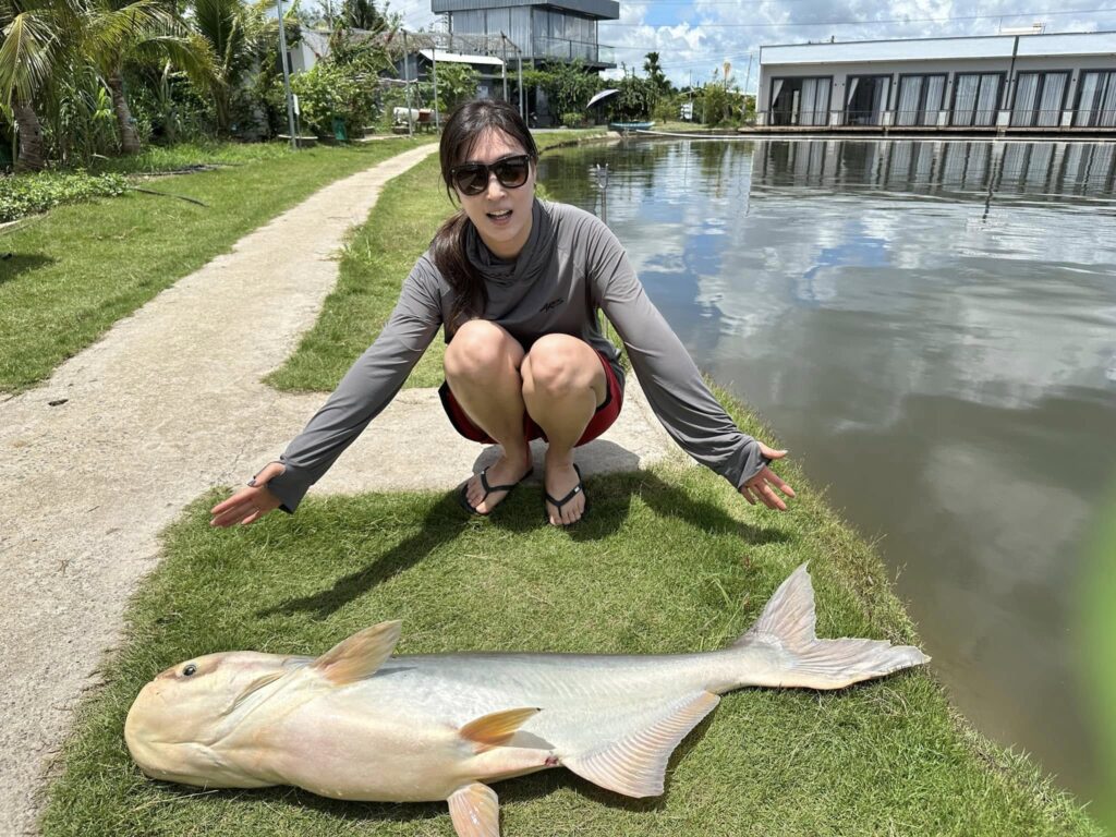 Mekong Giant Catfish