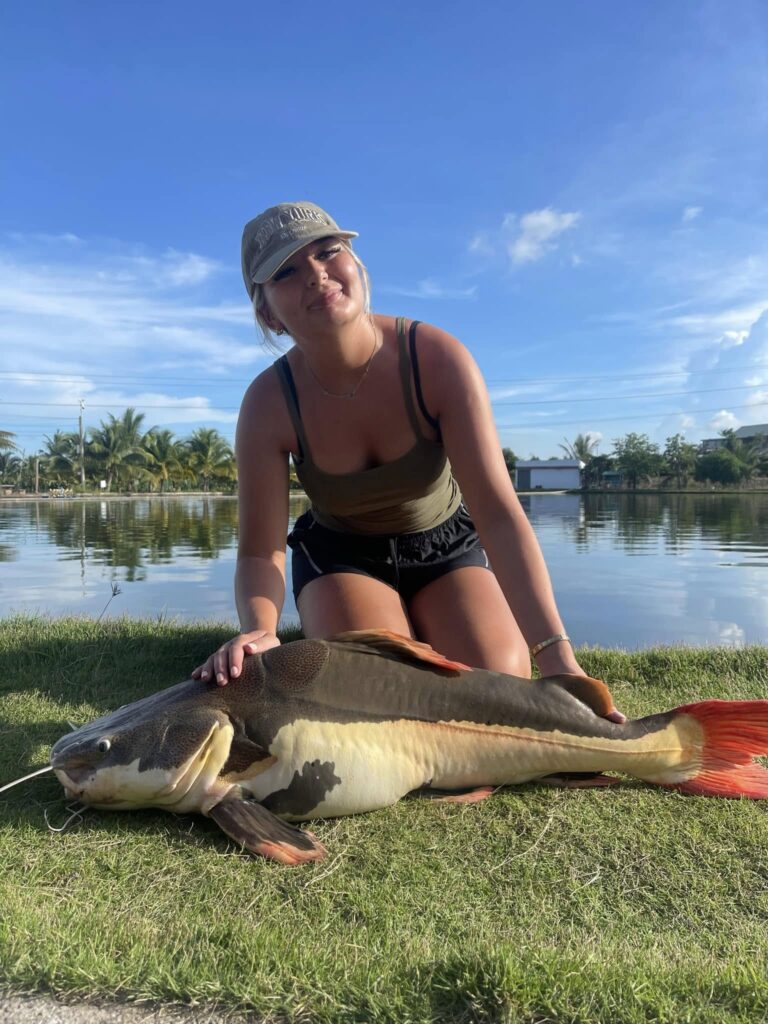 Amazon Redtail Catfish