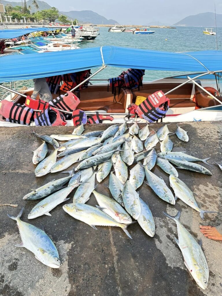 Con-Dao-island-ba-ria-vung-tau-tphcm-viet-nam-fishing-tours-trips-adventure-1193