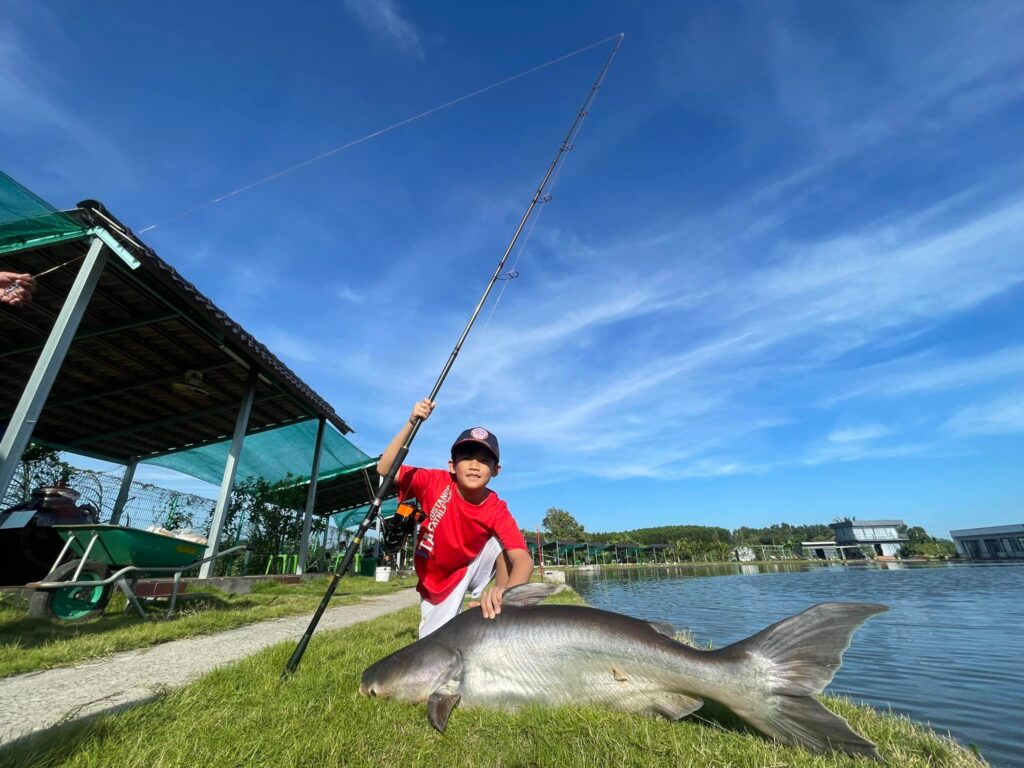 Mekong Giant Catfish-viet-nam-fishing-tours-trips-bull-arena-fishing-park
