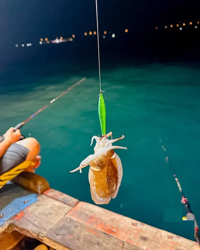 Squid-fishing-Ha-Long-at-night_vietnam-tours-trips