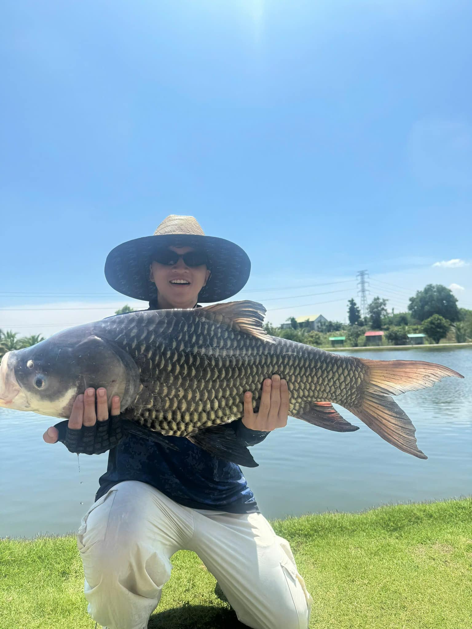 Siamese Carp