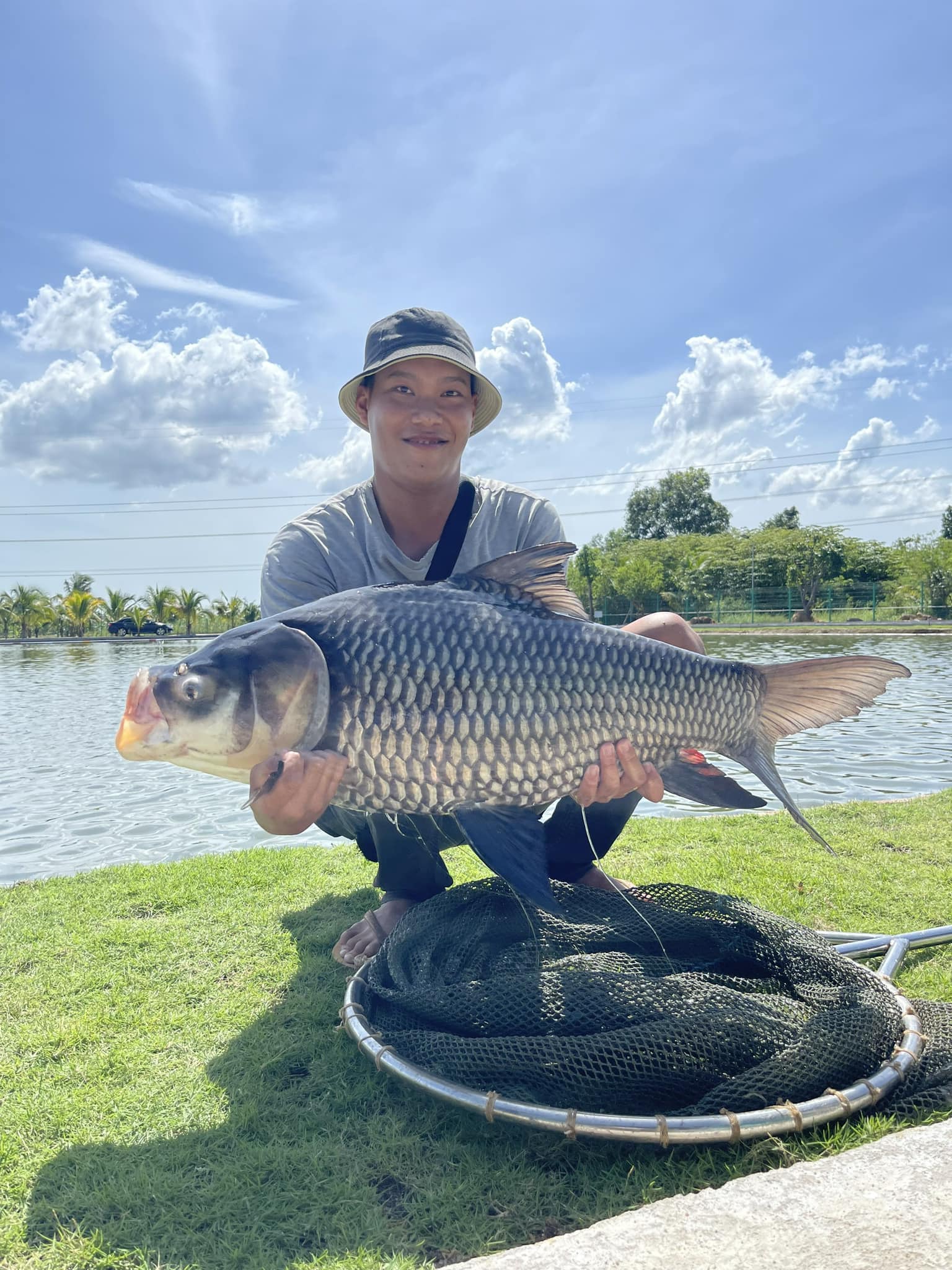The Siamese Carp