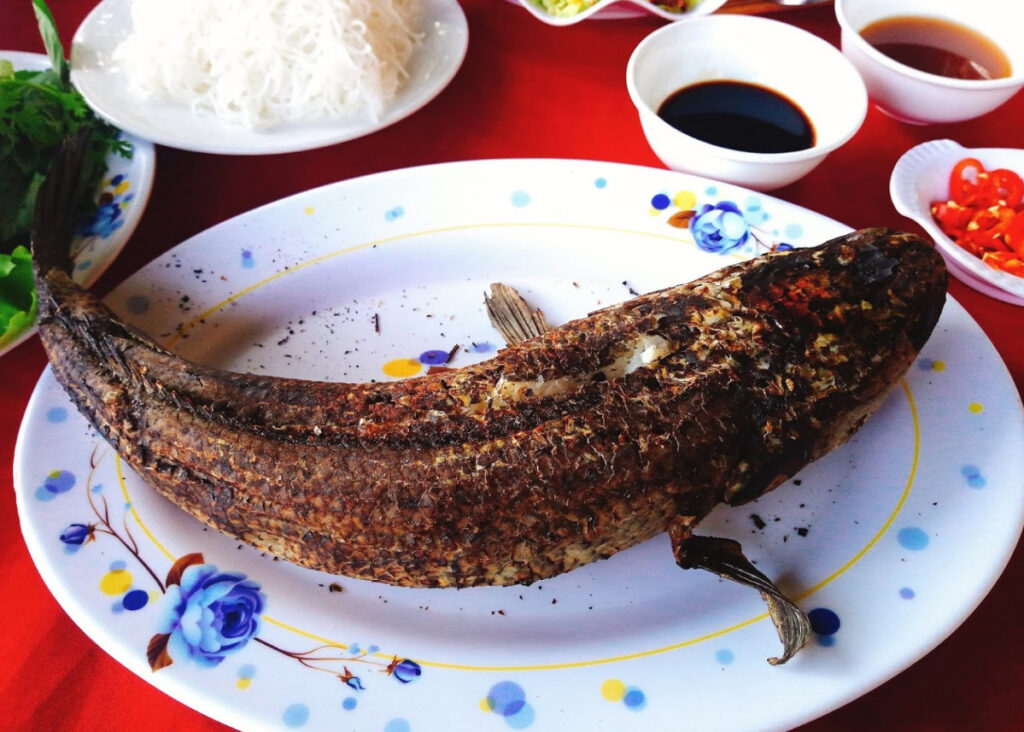 Tram Chim National Park-viet-nam-fishing-tour-trip-catching-adventure-615590