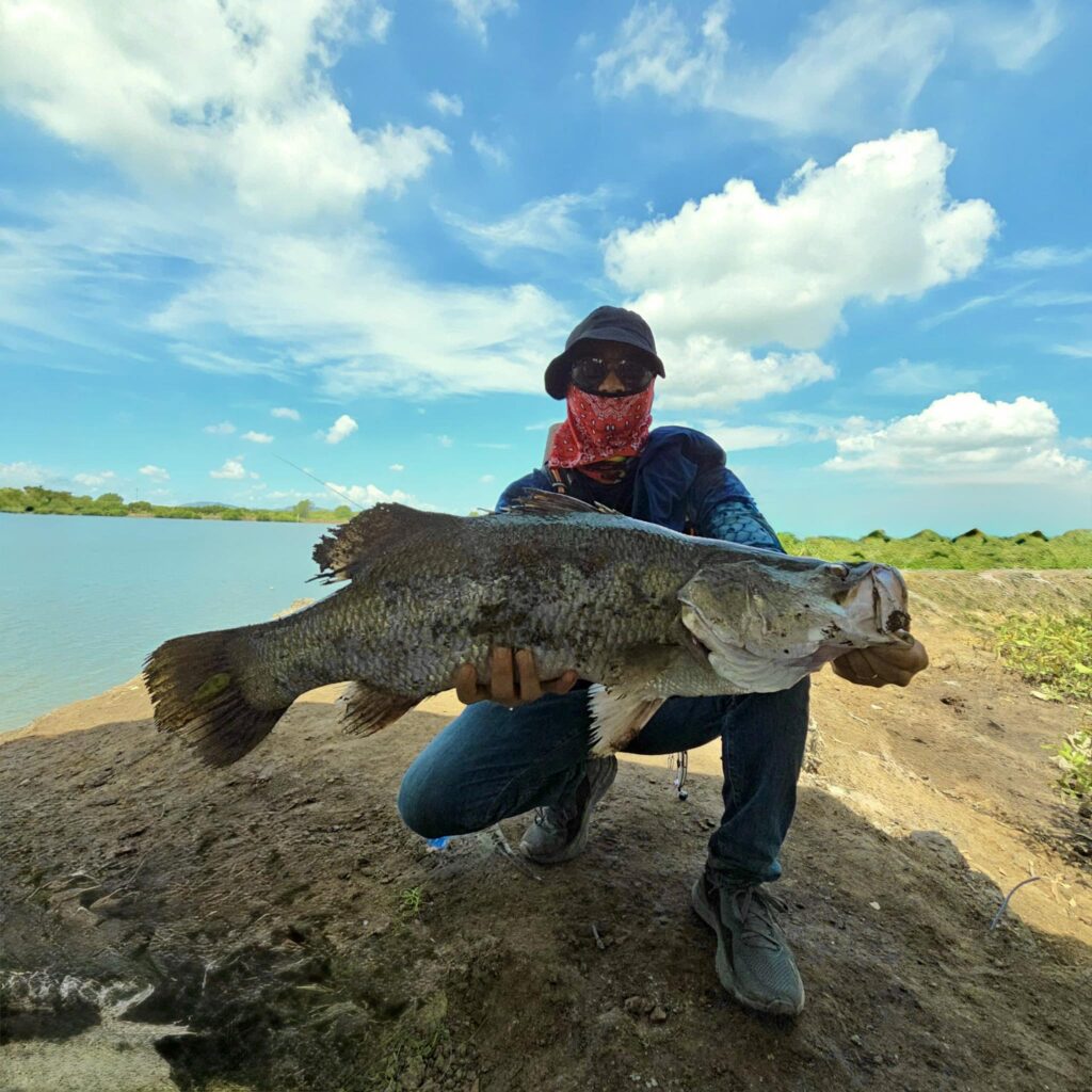 barramundi-mekong-delta-river-tourism-viet-nam-fishing-tour-trip-987