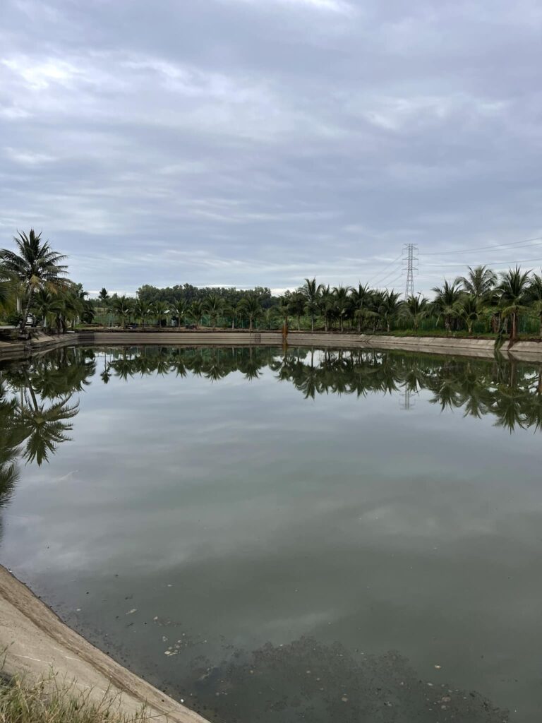 bull arena ba ria vung tau tphcm Vietnam Fishing Tours Trips- catching-the-big-one-255