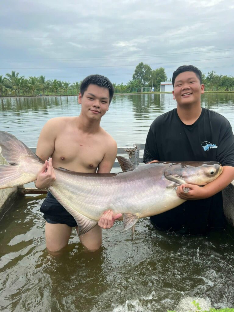 Mekong Giant Catfish