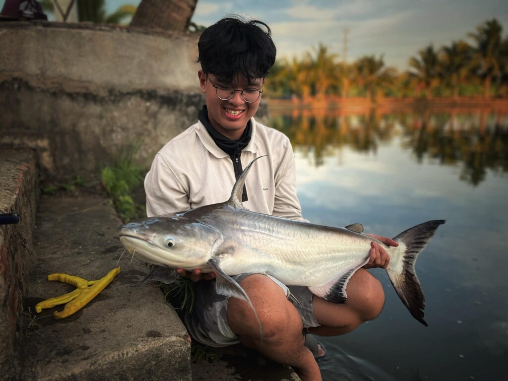 Chao Phraya Catfish
