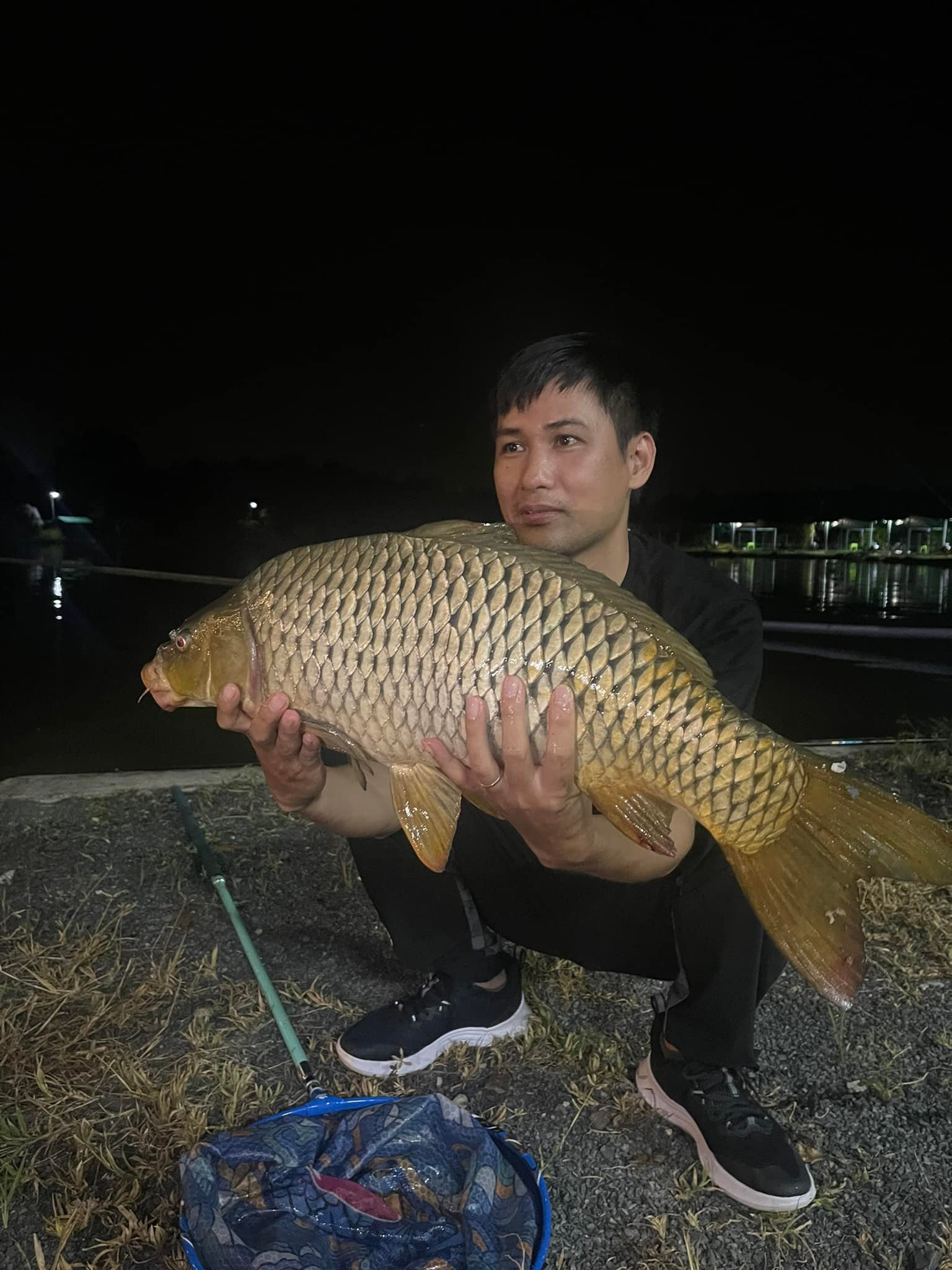 Asian Carp