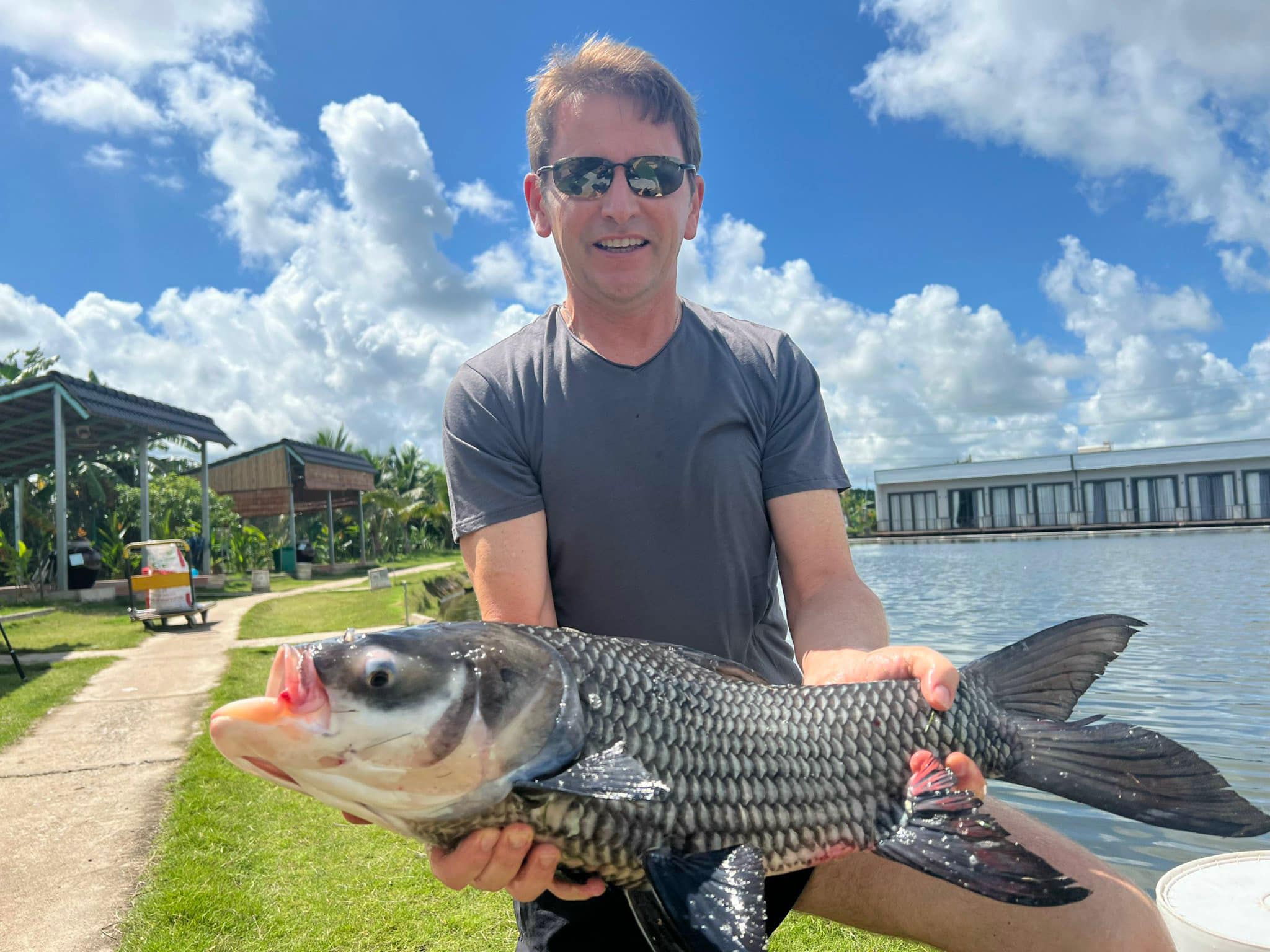 Siamese Carp