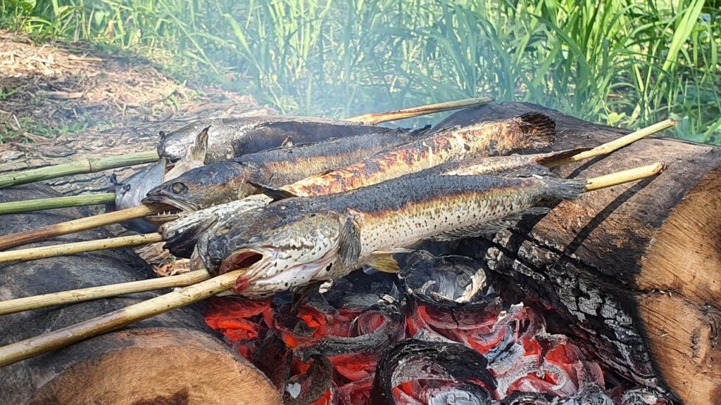 ca-loc-nuong-trui-barramundi--mekong-delta-river-tourism-viet-nam-fishing-tour-trip-223-