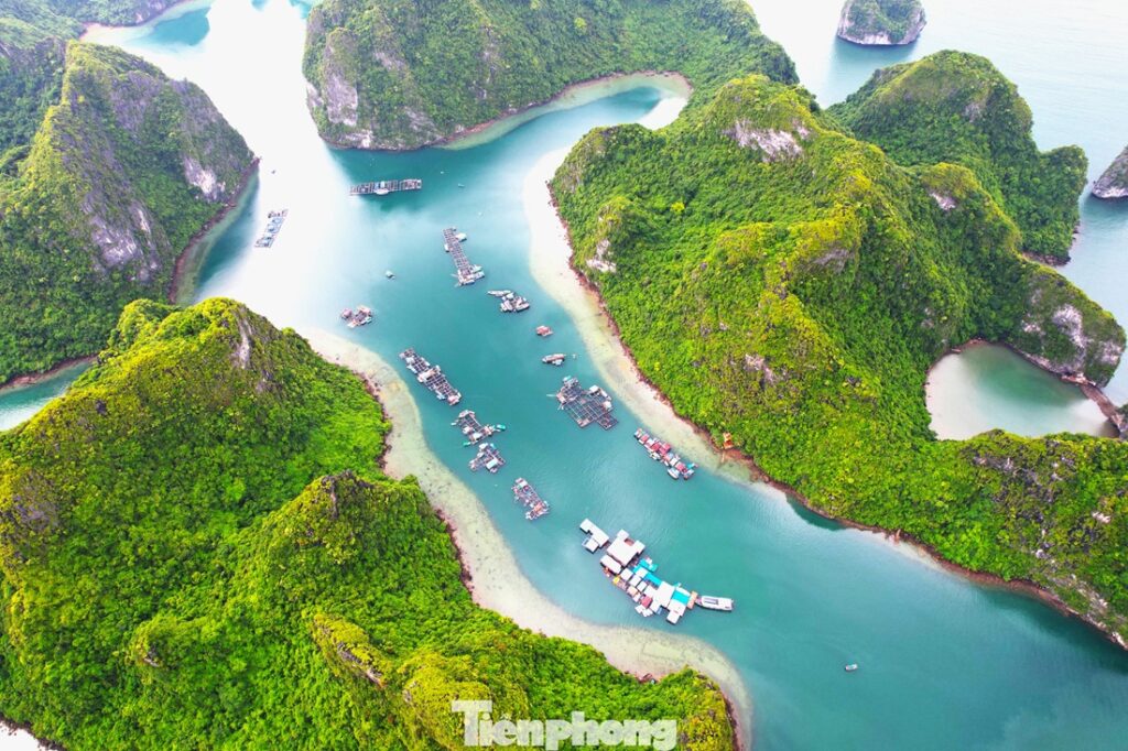 ha-long-bay-travel-viet-nam-fishing-tours-trips