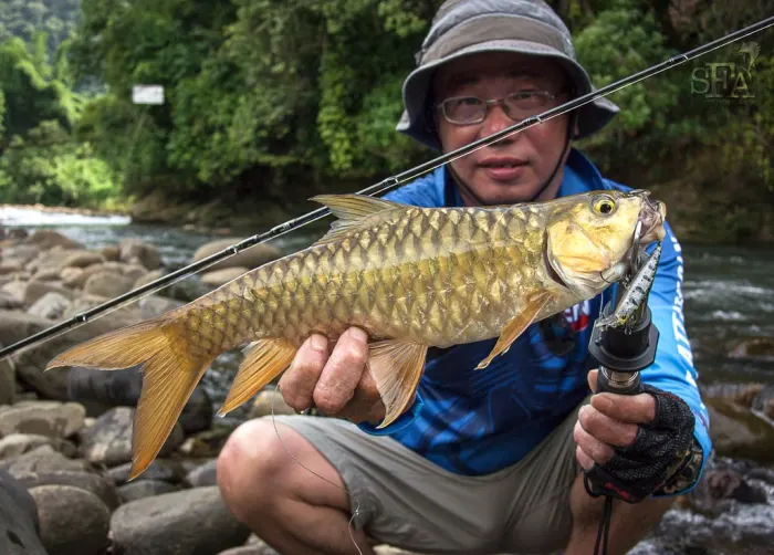 mahseer-viet-nam-fishing-tours