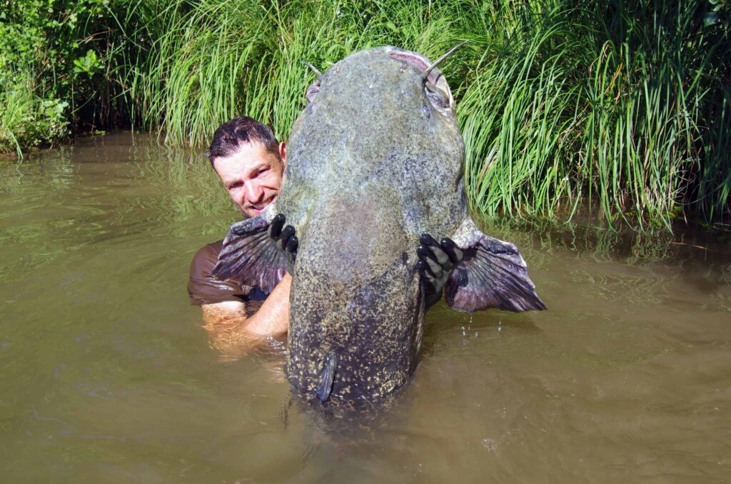 1-River-Monsters-mekong-the-giant-catfish-northern-viet-nam-fishing-tour-trip-travel-happy-new-year-2026