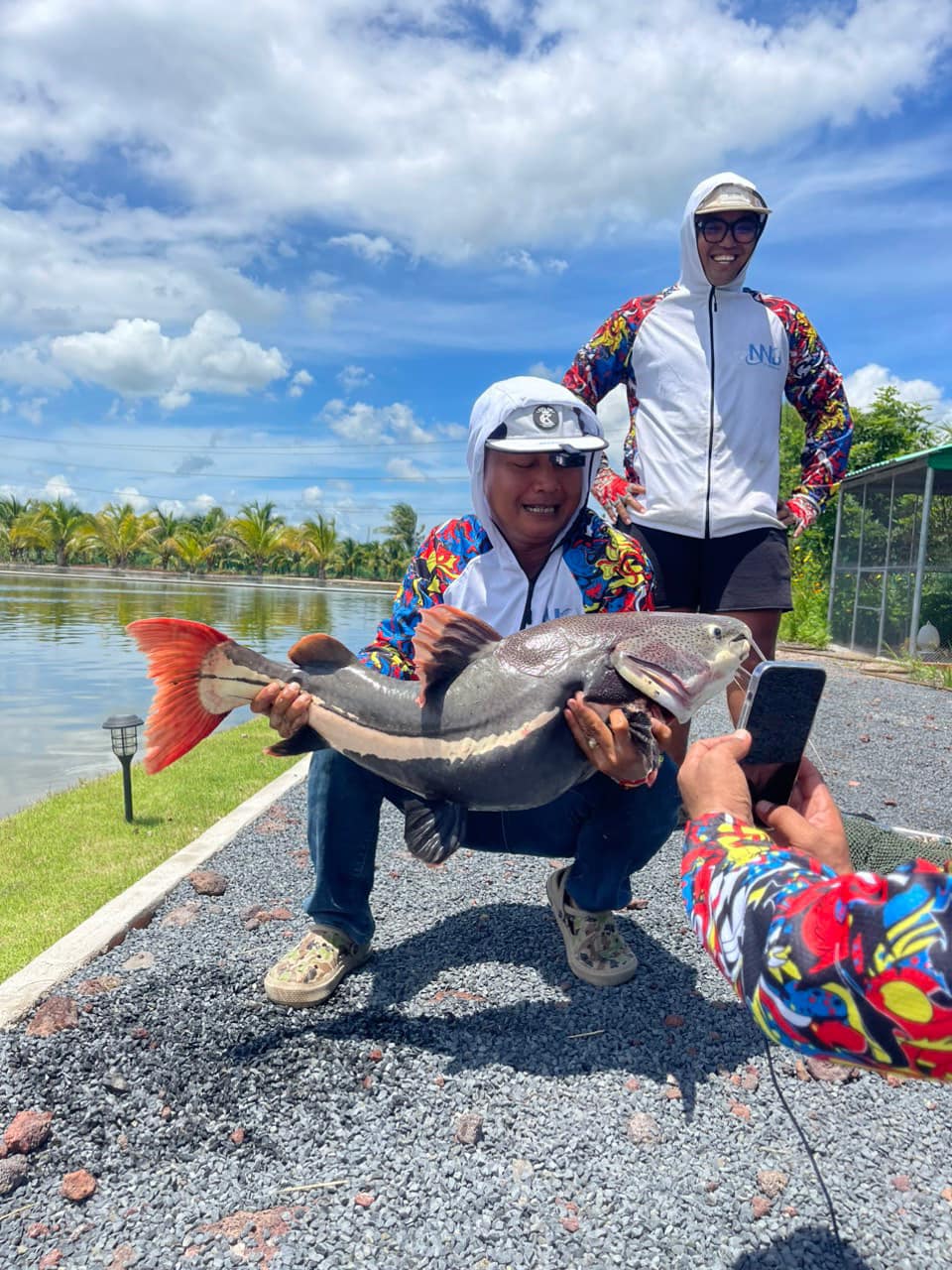 Amazon redtail catfish