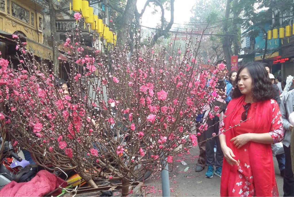 2026-lunar-new-year-tet-holiday-northern-viet-nam-fishing-tour-trip-travel-angler-adventure-fly-lure-catching-1