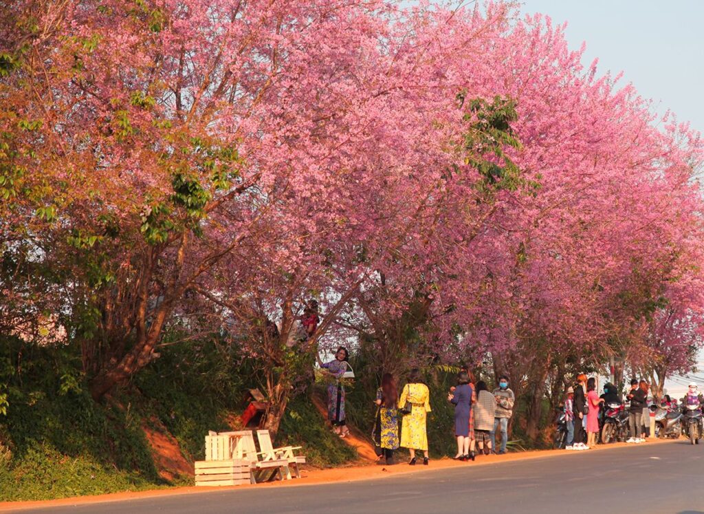 2026-spring-dalat-vietnam-fishing-tour-trip-travel-adventure-anglerhappy-lunar-new-year-fly-lure